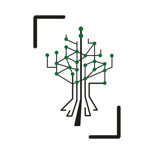 Icône du site