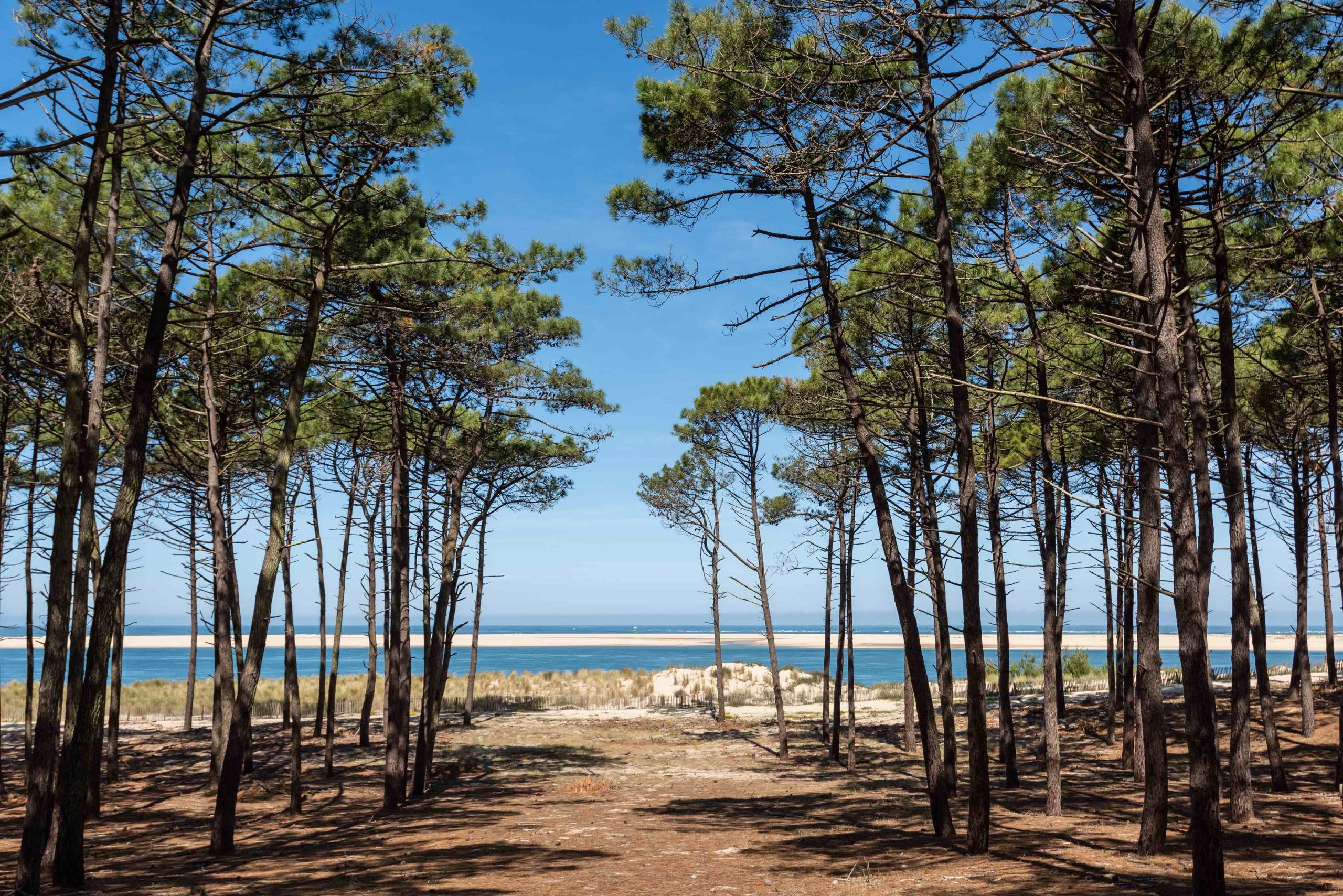 TERRITOIRE D'ENTREPRENEURS NORD DES LANDES