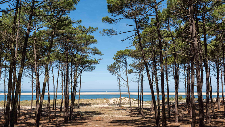 Territoire Nord Landes - Territoire d'Entrepreneurs